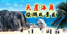 www.8x8x、拔海南三亚-天崖海角旅游风景区