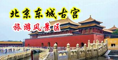 男人肏女人骚屄中国北京-东城古宫旅游风景区